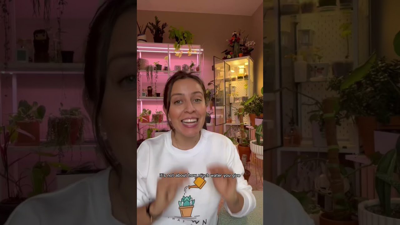 YouTube thumbnail 2KLVGLuaSs