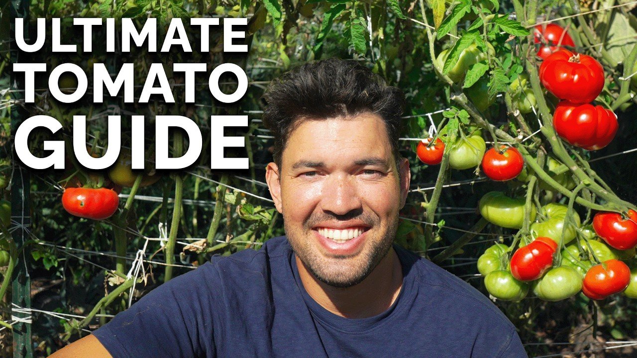 YouTube thumbnail 9seQurhbLPM