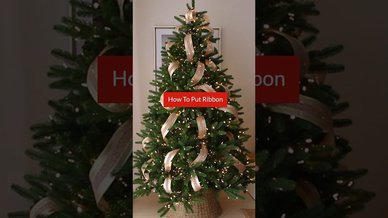 YouTube thumbnail A21ARcjis5s