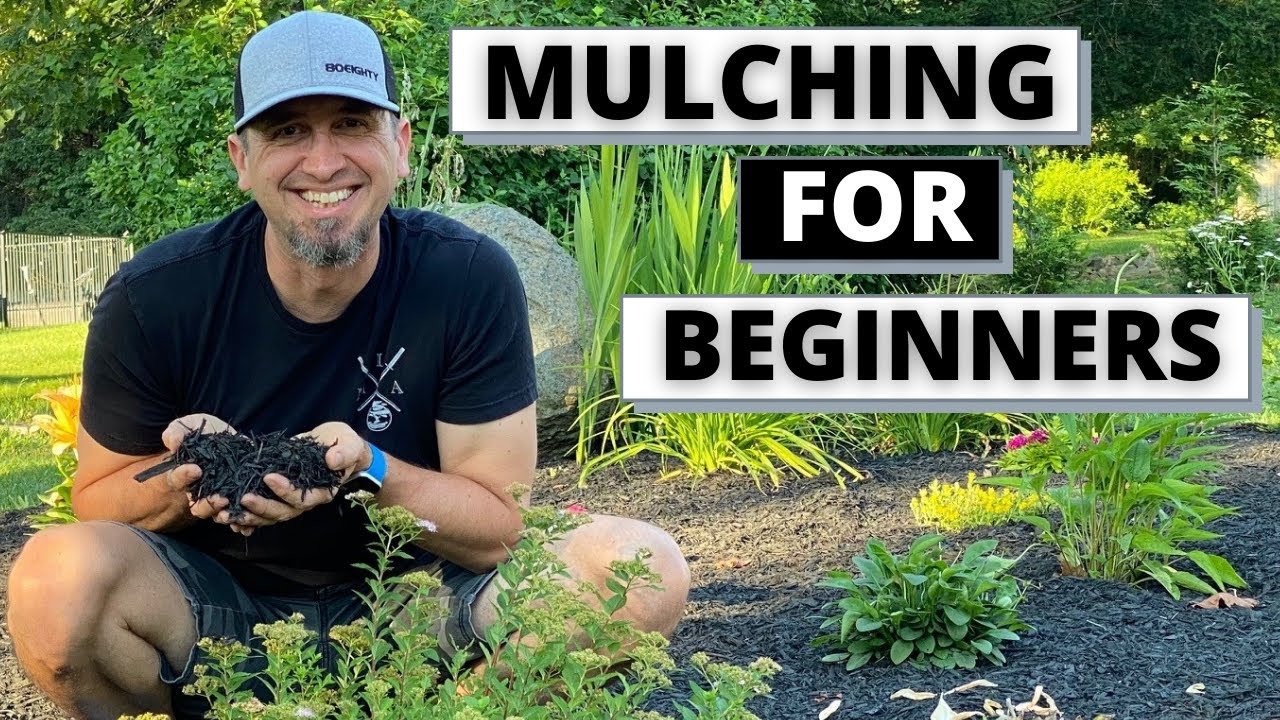 YouTube thumbnail MBobxICT Po