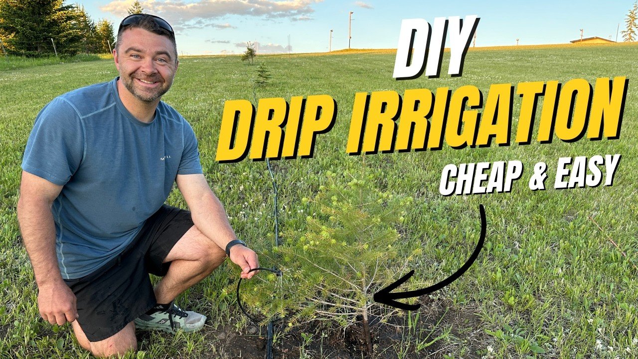 YouTube thumbnail oCzmah6XFLA