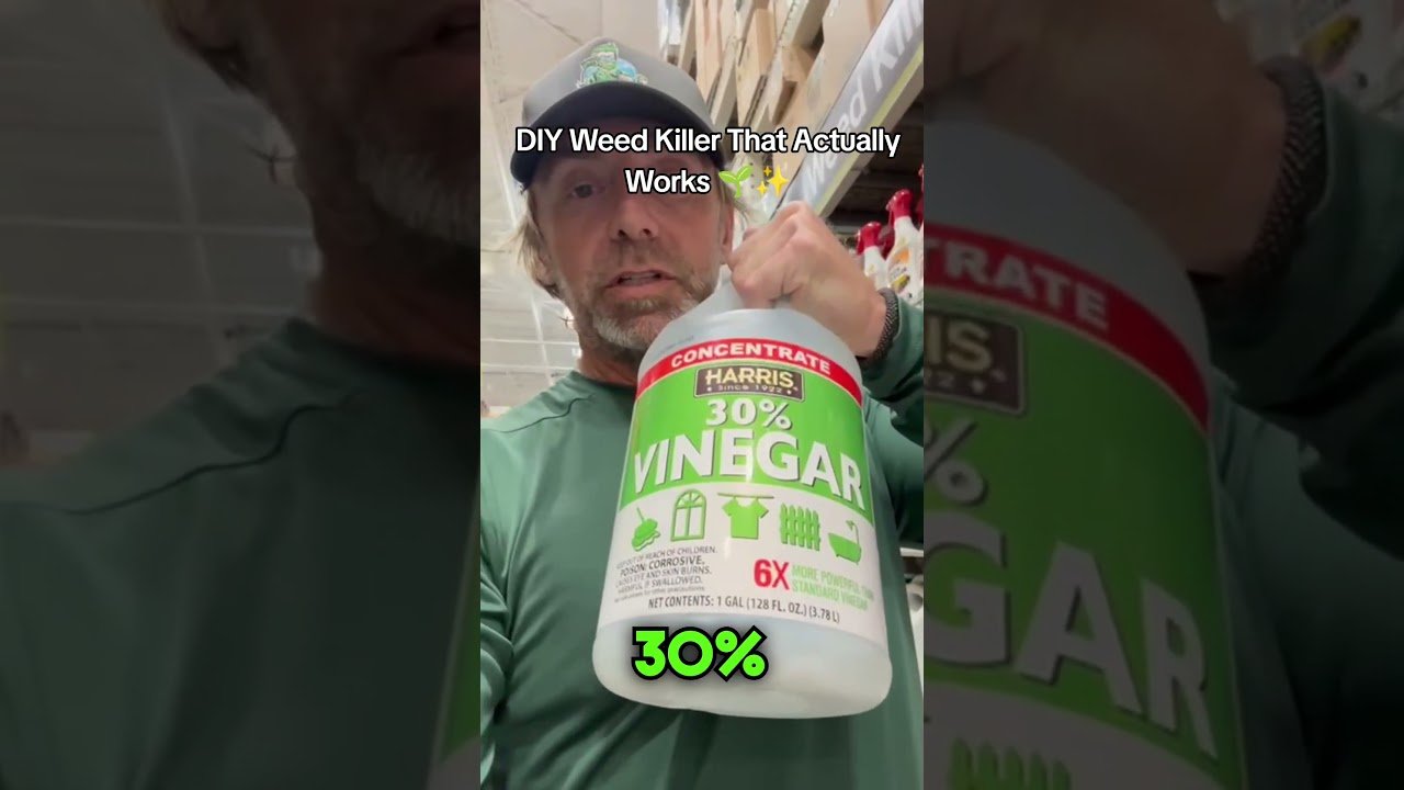 YouTube thumbnail uqnkeZh DH8