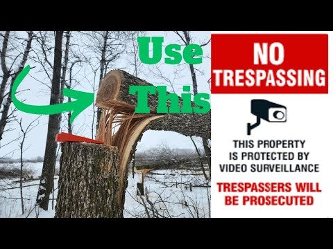 YouTube thumbnail wwOvevL oQk