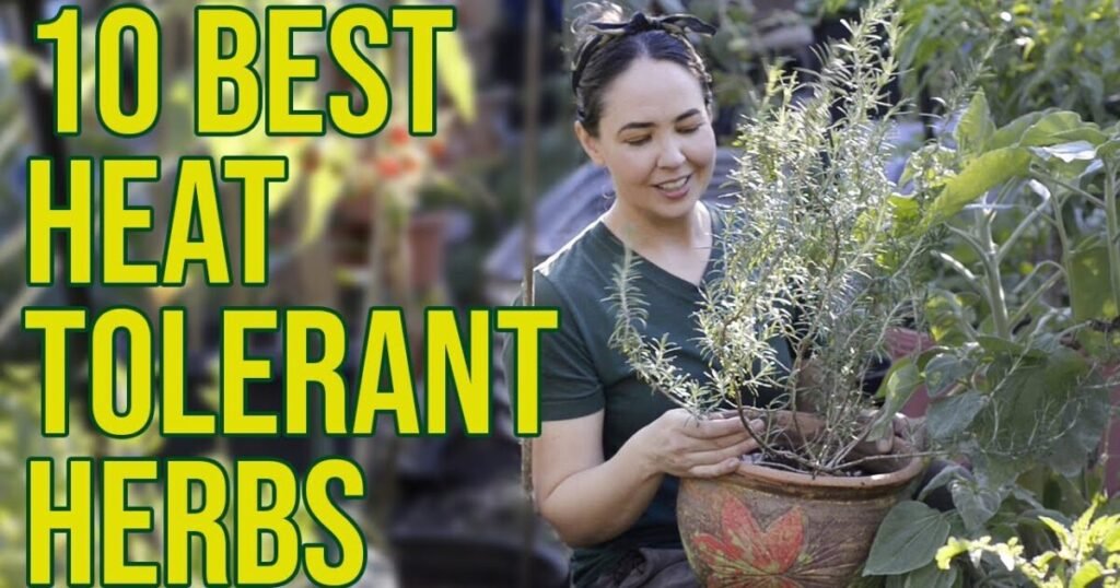 YouTube thumbnail 0dH5fKnucBk