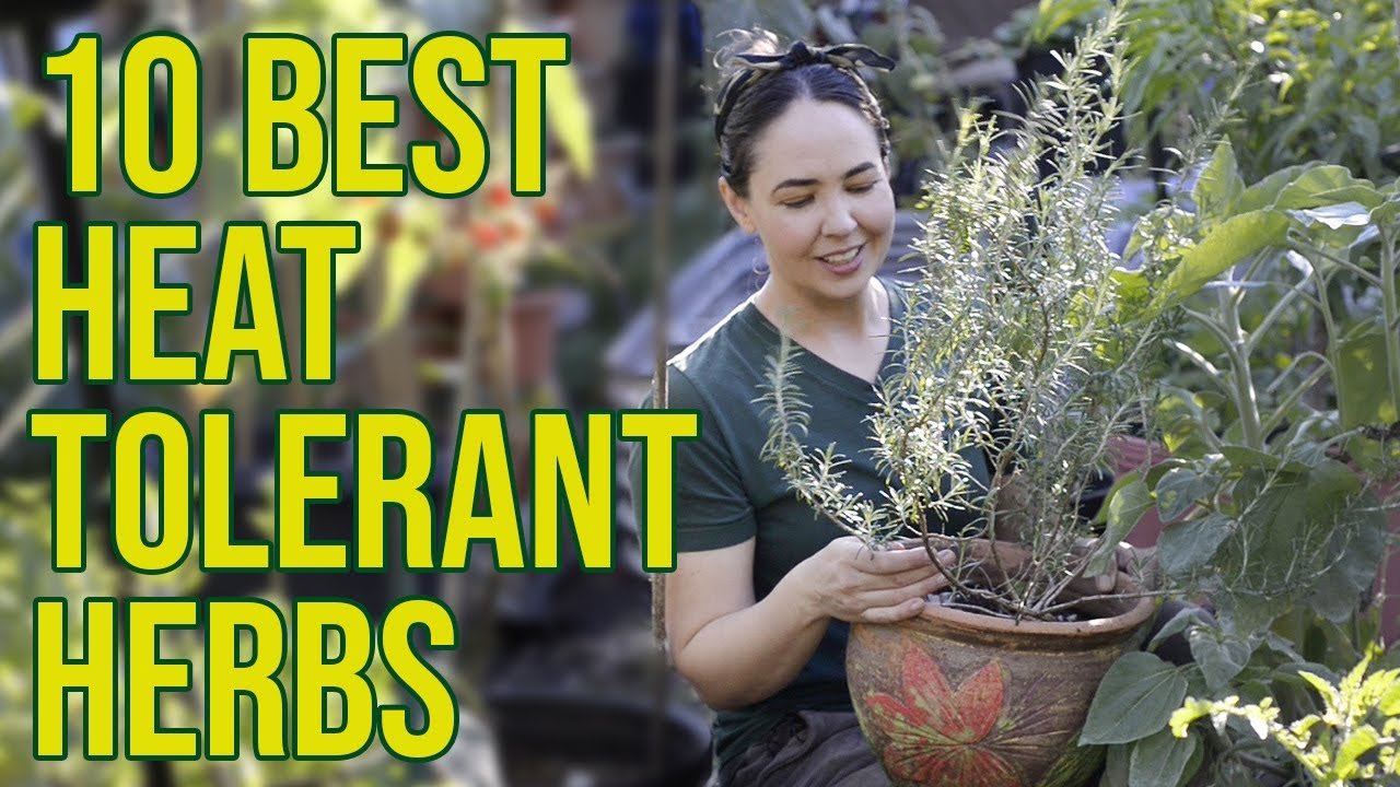 YouTube thumbnail 0dH5fKnucBk