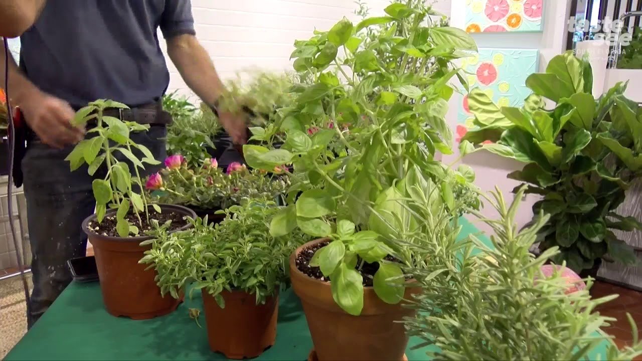 YouTube thumbnail bpsDJO6Pc